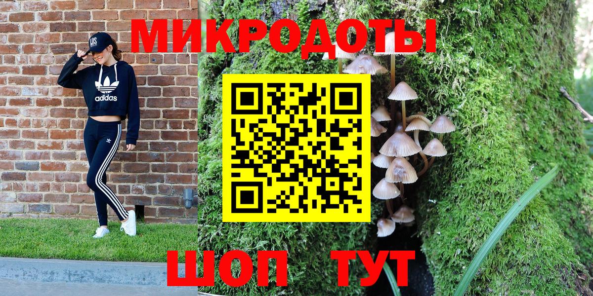 Псилоцибиновые грибы Psilocybe  Вход с VPN  Хасавюрт  Галлюциногенные грибы Magic Shrooms 